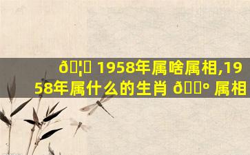 🦅 1958年属啥属相,1958年属什么的生肖 🌺 属相